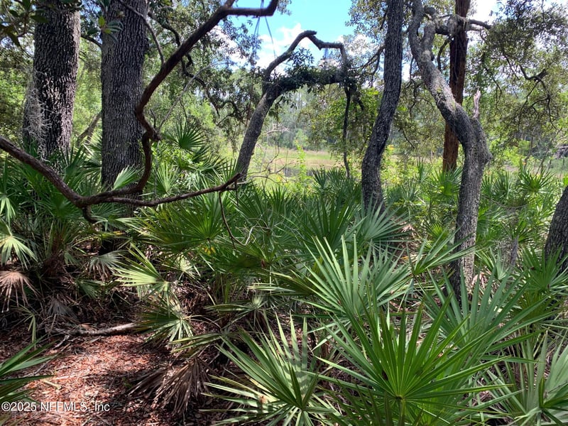 126 Pecan Ave, Interlachen, FL 32148