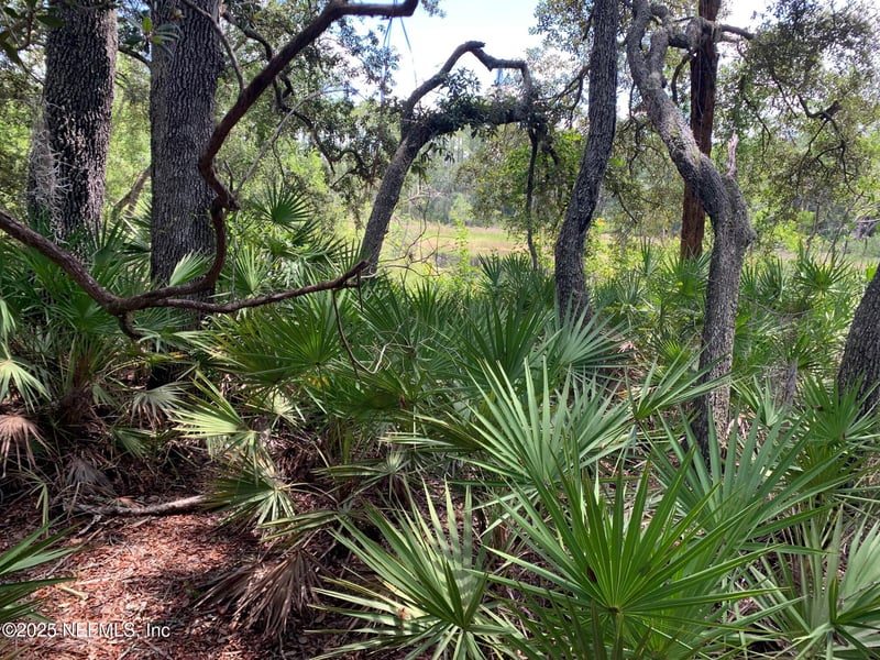 126 Pecan Ave, Interlachen, FL 32148