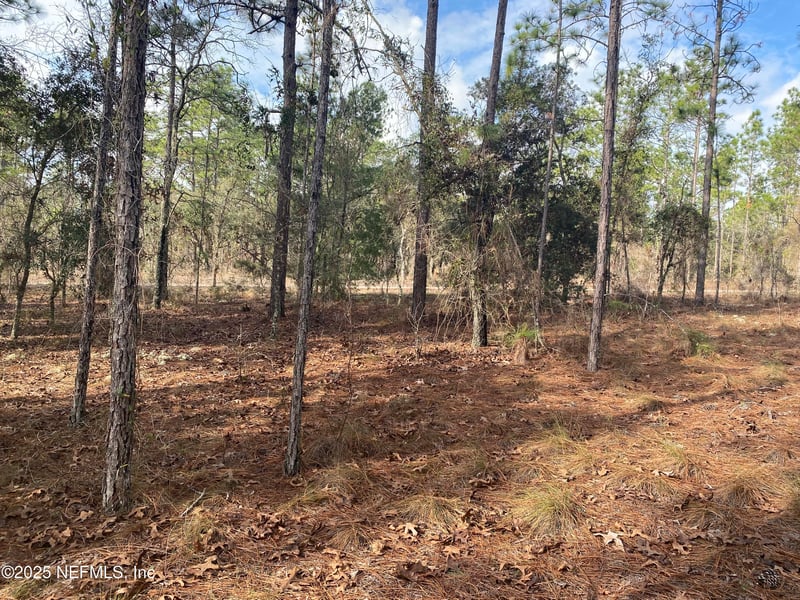 LOT 20 Sw Buena Vista Rd, Dunnellon, FL 34431