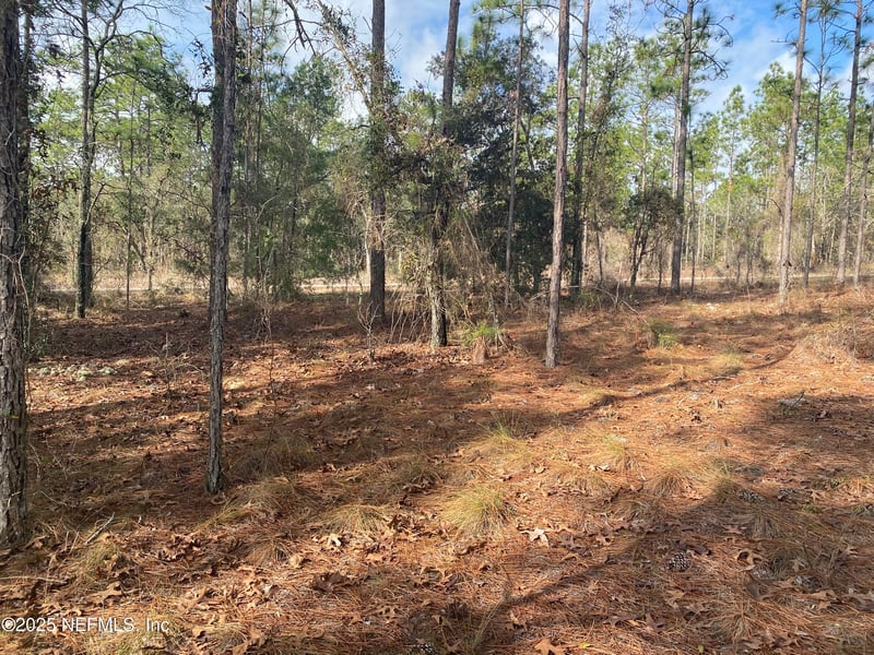 LOT 20 Sw Buena Vista Rd, Dunnellon, FL 34431