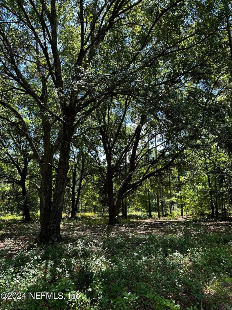 LOT 16 209 Way , Melrose, FL 32666