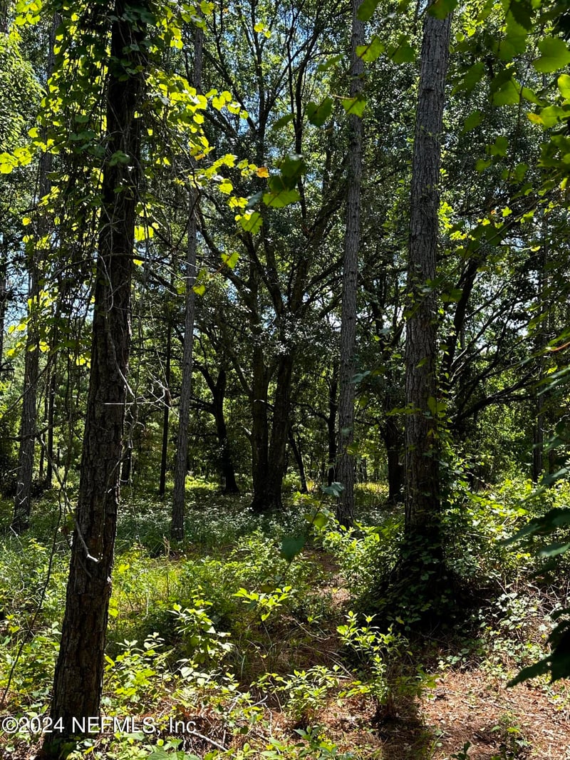 LOT 16 209 Way , Melrose, FL 32666