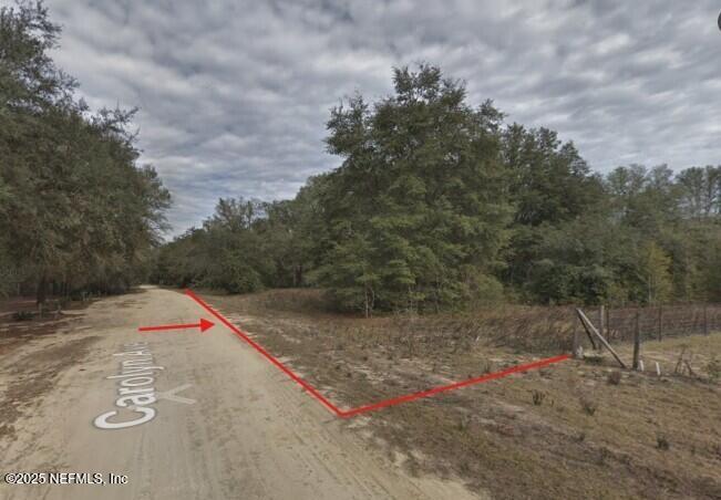 104 Carolyn Ave, Interlachen, FL 32148