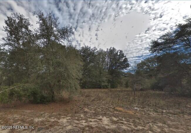 104 Carolyn Ave, Interlachen, FL 32148