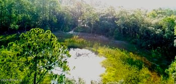 126 Pecan Ave, Interlachen, FL 32148