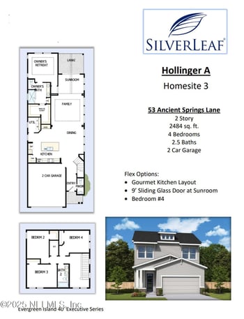 53 Ancient Springs Ln, St Augustine, FL 32092