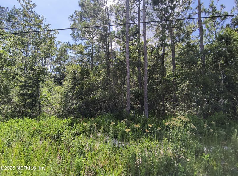 10505 Delgado Ave, Hastings, FL 32145