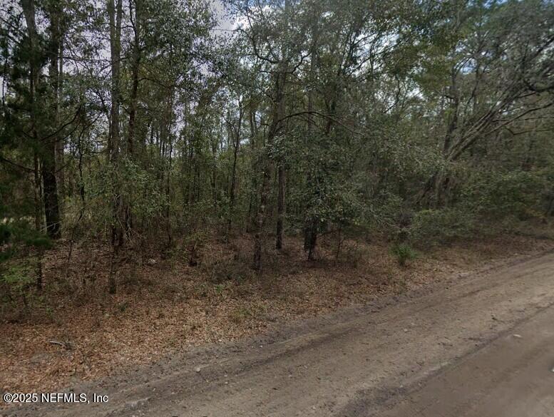 0 Pilchard Rd, Florahome, FL 32140