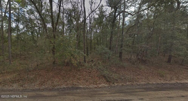 0 Pilchard Rd, Florahome, FL 32140