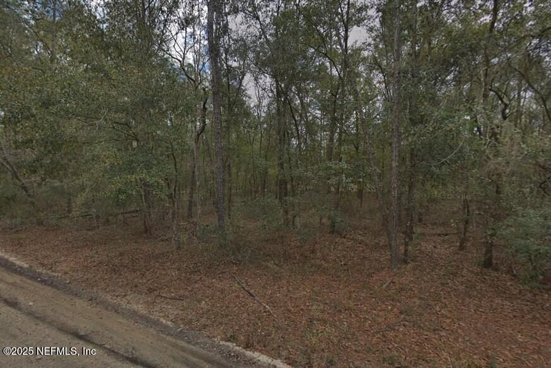 0 Pilchard Rd, Florahome, FL 32140