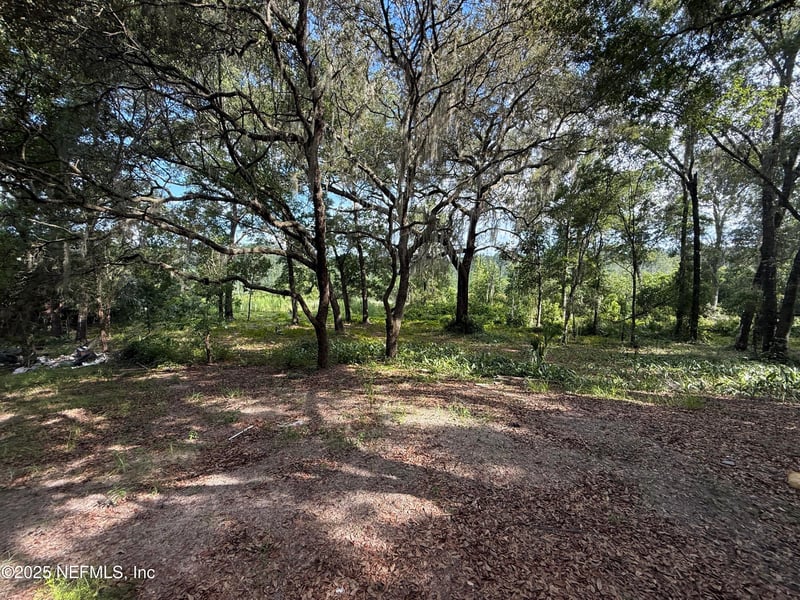 225 Ivanhoe Dr, Satsuma, FL 32189