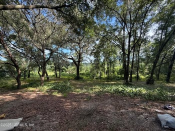 225 Ivanhoe Dr, Satsuma, FL 32189