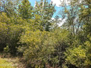 92nd St, Starke, FL 32091