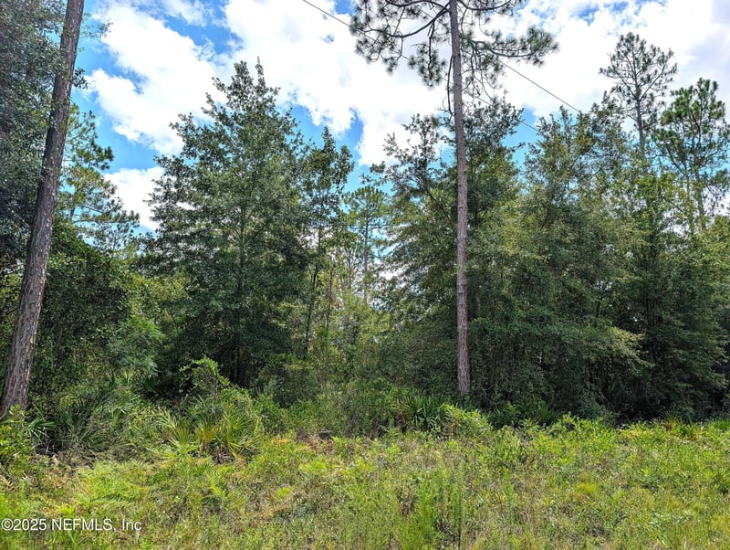 0 48th Ln, Starke, FL 32091