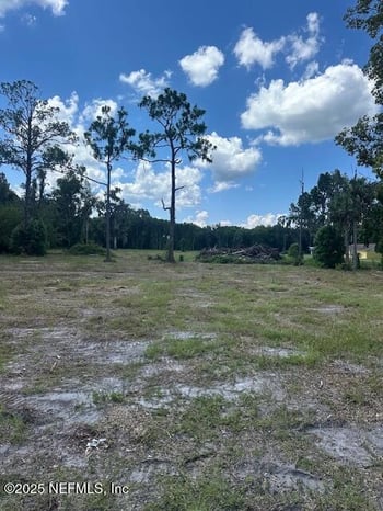 125 1st Ave, Pierson, FL 32180