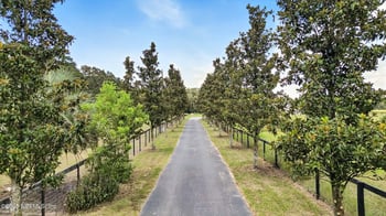 1960 150th St, Summerfield, FL 34491