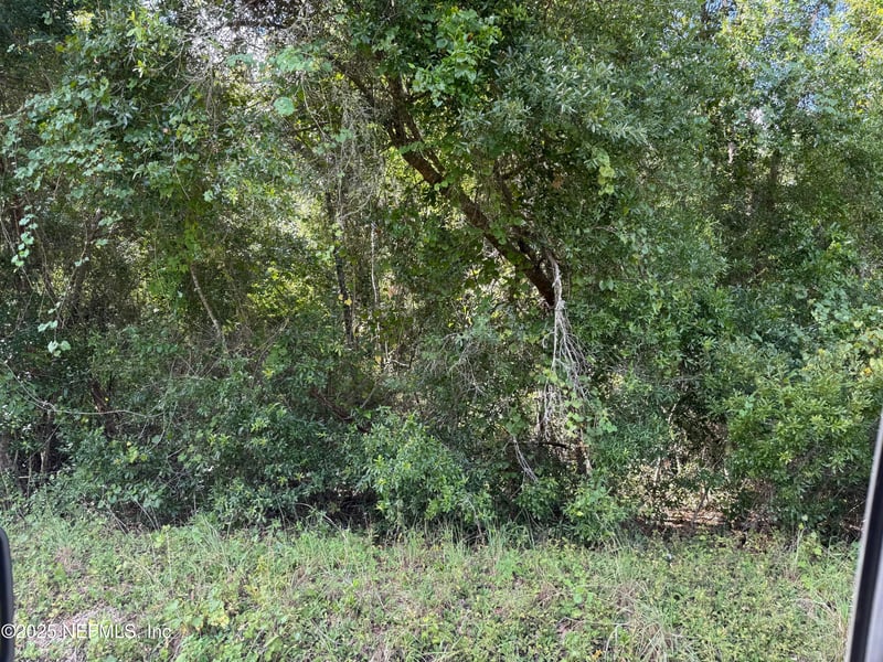 314 New Jersey Ave, Hawthorne, FL 32640