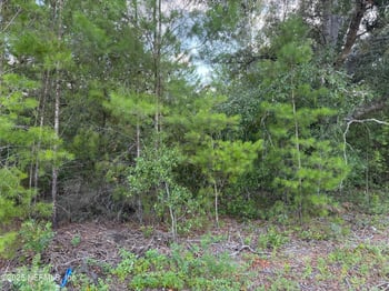 314 New Jersey Ave, Hawthorne, FL 32640