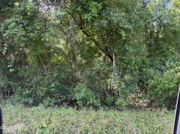 312 New Jersey Ave, Hawthorne, FL 32640