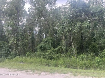 4566 Division St, Hastings, FL 32145