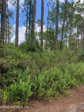 122 Marion St, Palatka, FL 32177