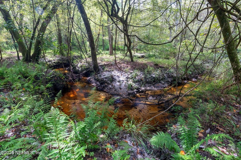 2005 County Road 16, Green Cove Springs, FL 32043