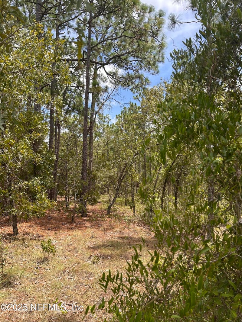 LOT 20 Sw Buena Vista Rd, Dunnellon, FL 34431