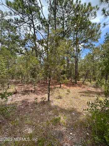 LOT 20 Sw Buena Vista Rd, Dunnellon, FL 34431