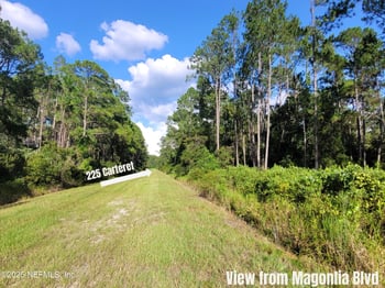 225 Carteret Rd, Georgetown, FL 32139