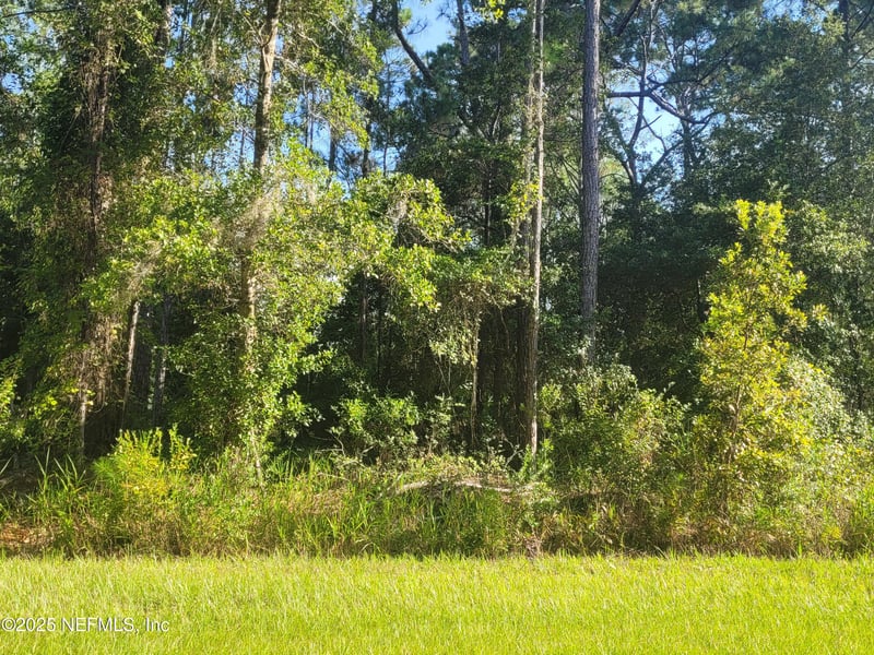 225 Carteret Rd, Georgetown, FL 32139