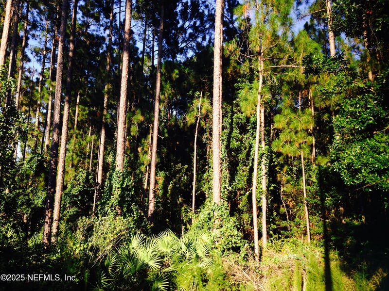 0 Fawn Lake Dr, Jacksonville, FL 32256