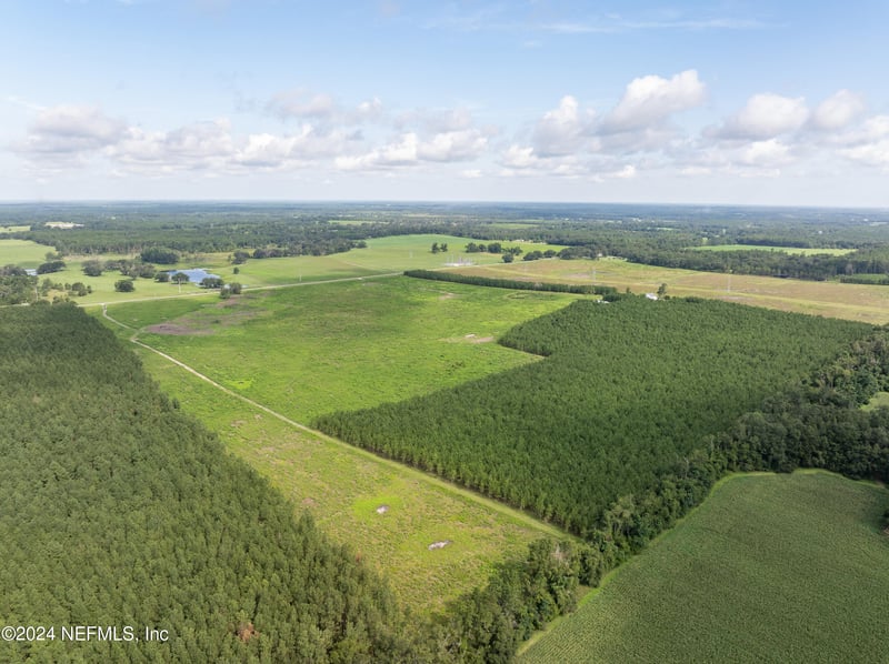 3500 Rocky Ford Rd, Madison, FL 32340