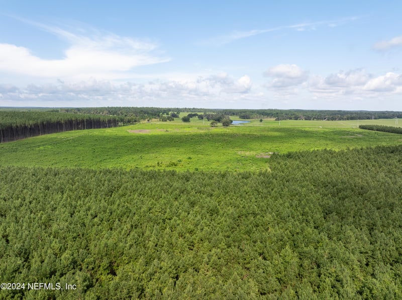 3500 Rocky Ford Rd, Madison, FL 32340