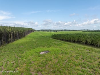 3500 Rocky Ford Rd, Madison, FL 32340