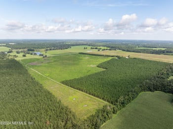 VACANT88 Rocky Ford Rd, Madison, FL 32340