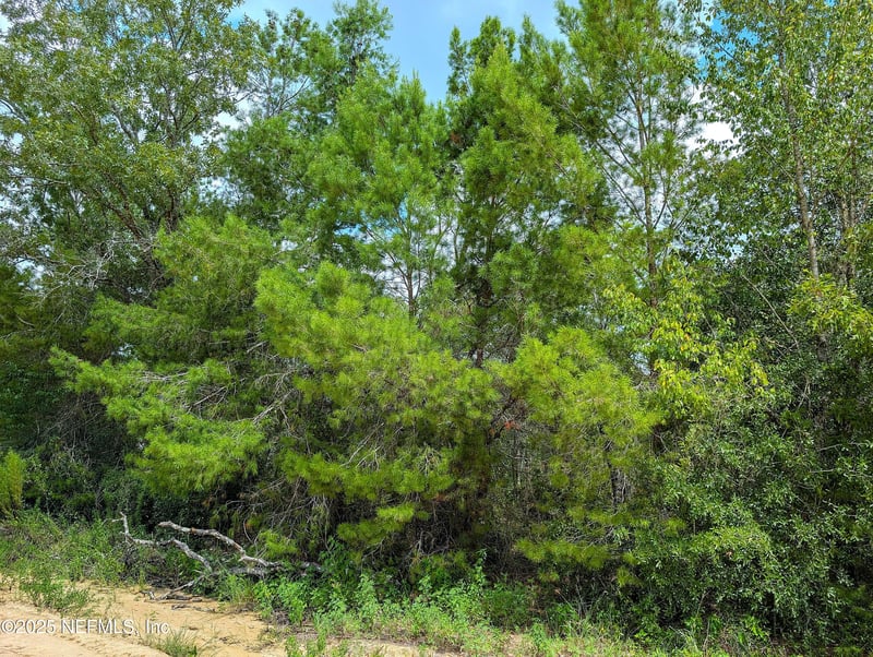 5635 Cherokee St, Keystone Heights, FL 32656