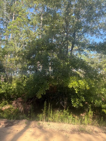 0030 Evans , Interlachen, FL 32148