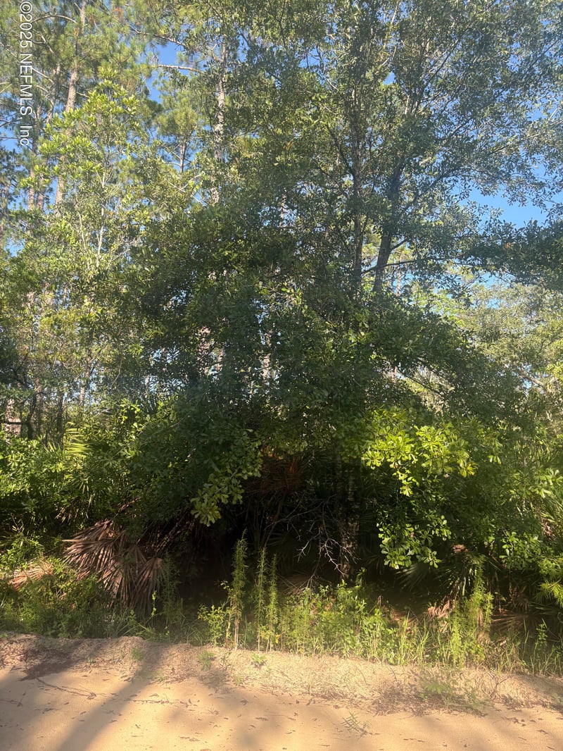 0030 Evans , Interlachen, FL 32148