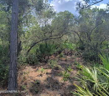 708 Squares Rd, Palatka, FL 32177