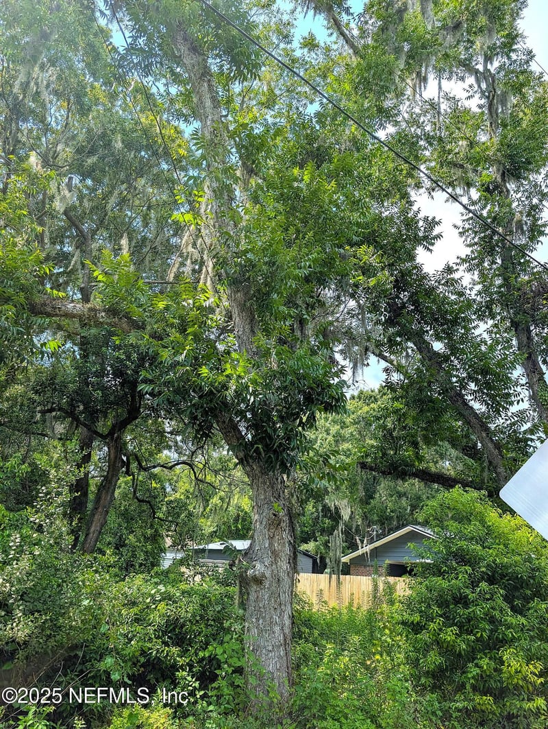 00 Thomas St, Starke, FL 32091