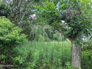 00 Thomas St, Starke, FL 32091