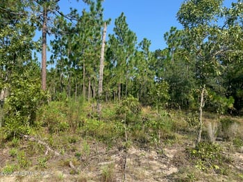 243 Indiana Ave, Hawthorne, FL 32640