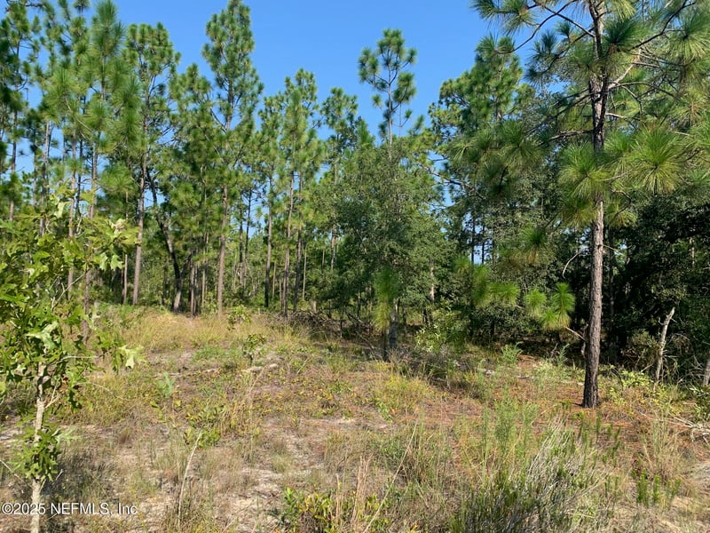 243 Indiana Ave, Hawthorne, FL 32640