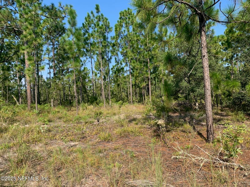 243 Indiana Ave, Hawthorne, FL 32640