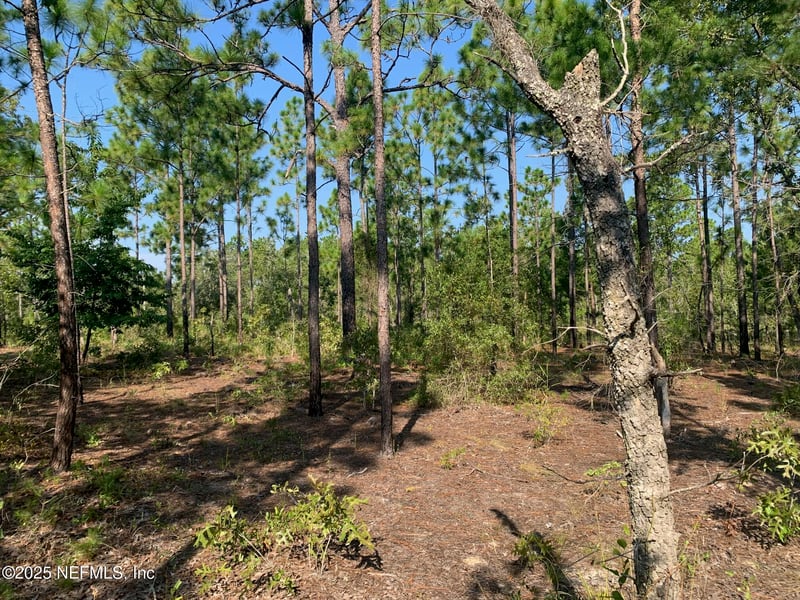 243 Indiana Ave, Hawthorne, FL 32640