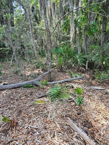 0 Barnwell Rd, Fernandina Beach, FL 32034
