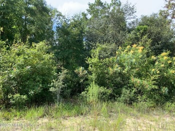 119 Lynnwood Ave, Interlachen, FL 32148