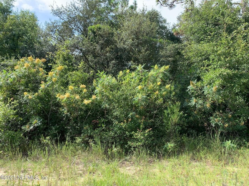 119 Lynnwood Ave, Interlachen, FL 32148