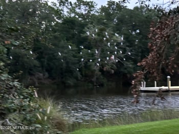 14073 Pine Island Dr, Jacksonville, FL 32224