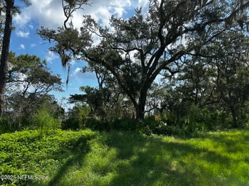 322 Canopy Hall Dr, St Augustine, FL 32095